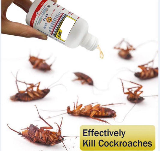 ROACH